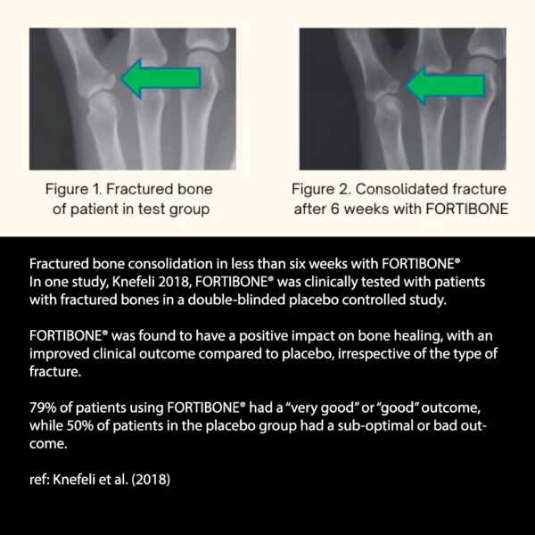 Bone and Joint Bundle - Image 2