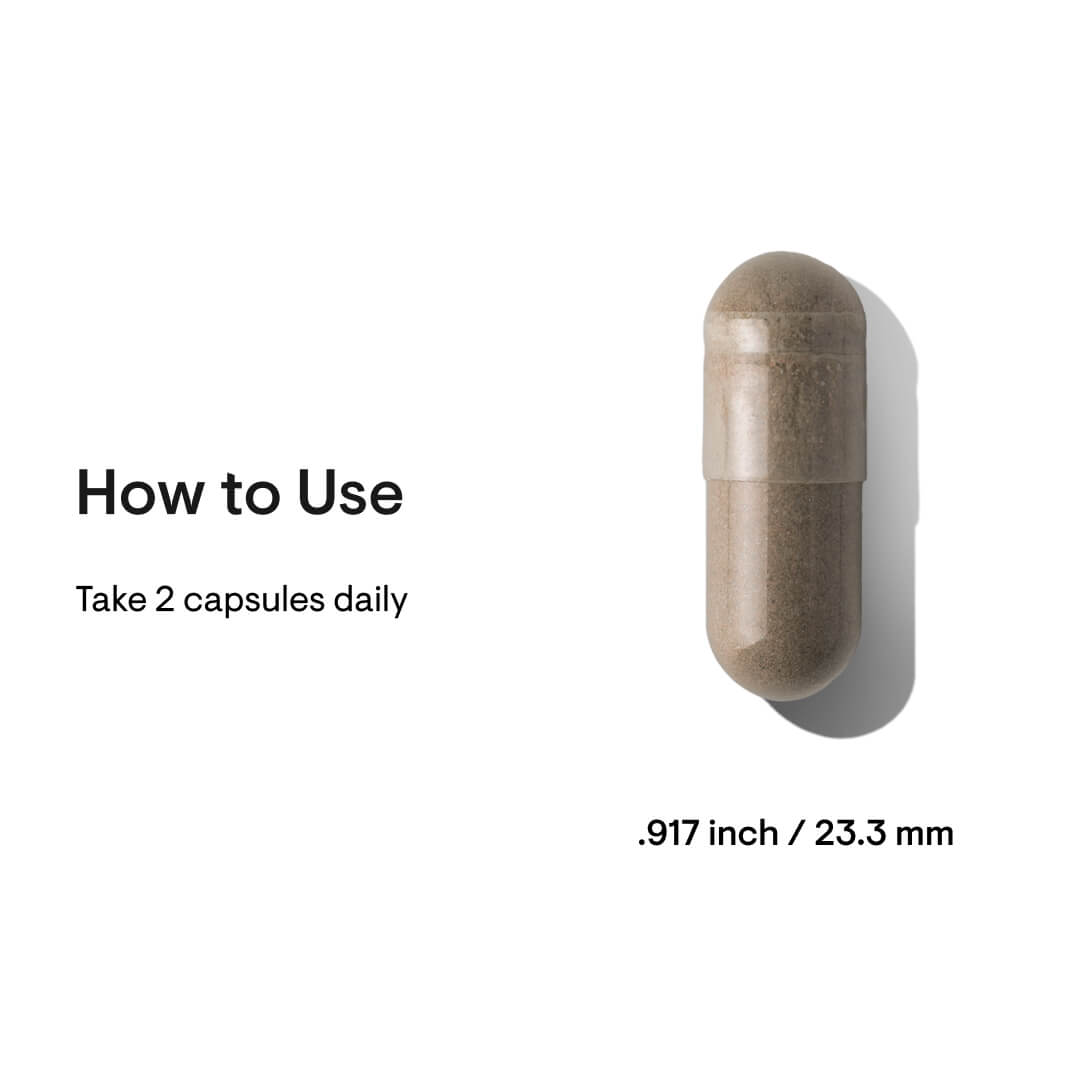 Ginseng Plus (Lion's Mane and Greek Tea Extract) - Image 4